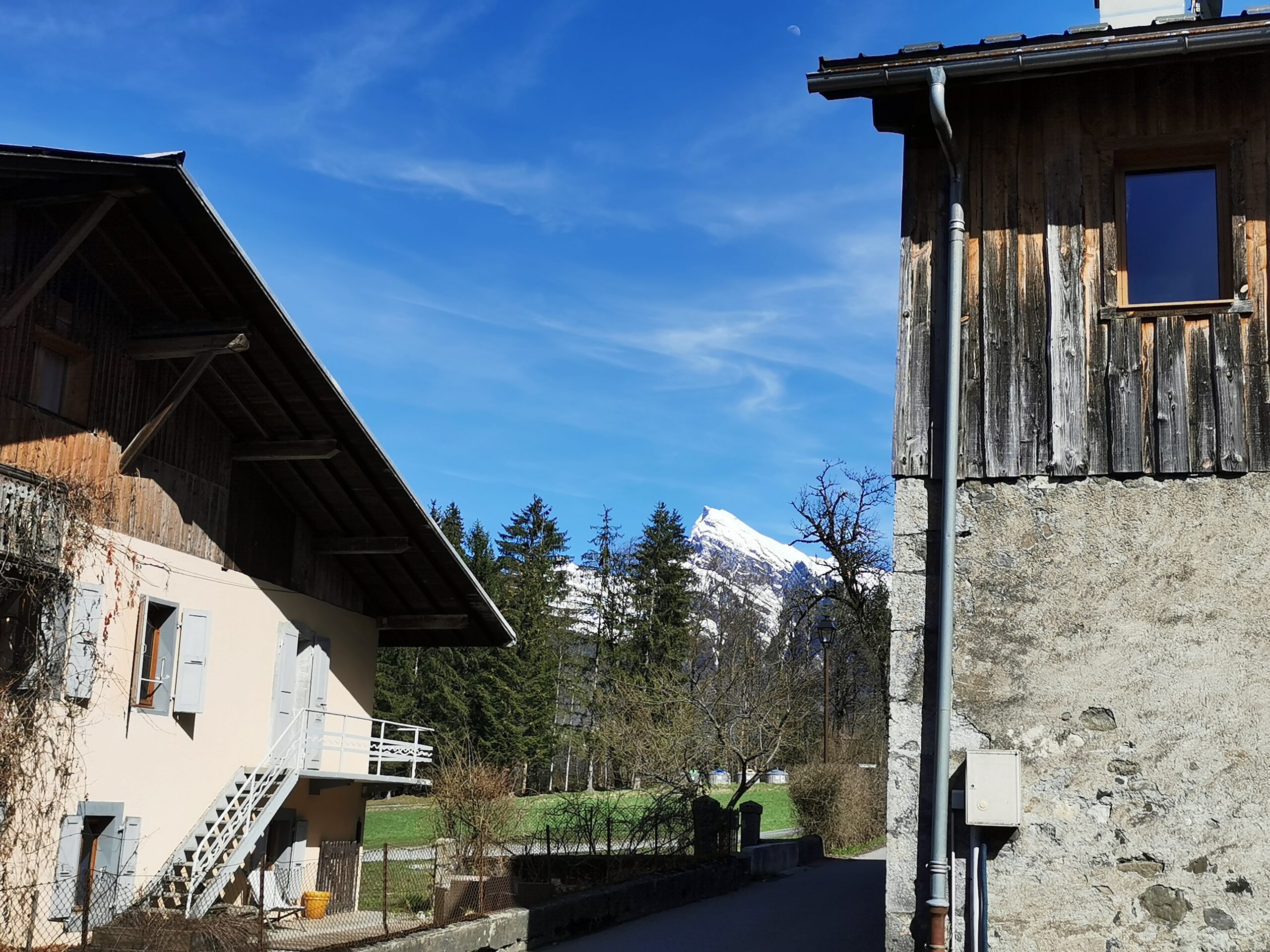 Belle journée d’été à Morillon avec ciel bleu, prairie et sentier facile pour profiter du soleil en montagne.
